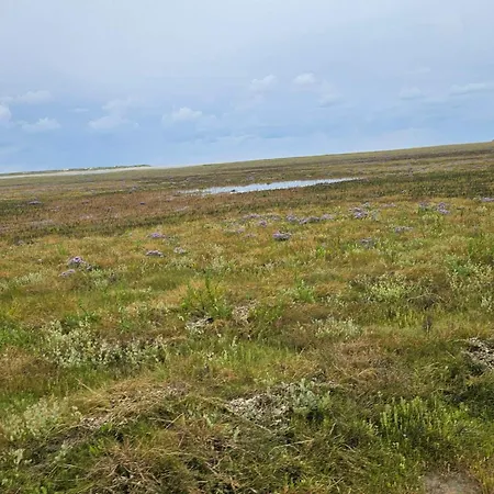 Seaside Haven In Vadehavet - By Traum